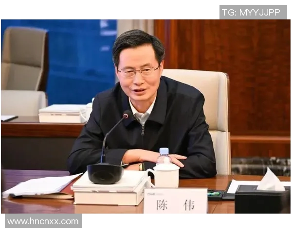 深度对话：陈伟的篮球人生