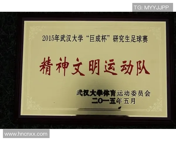 武汉足球队个人能力分析与表现评估研究报告